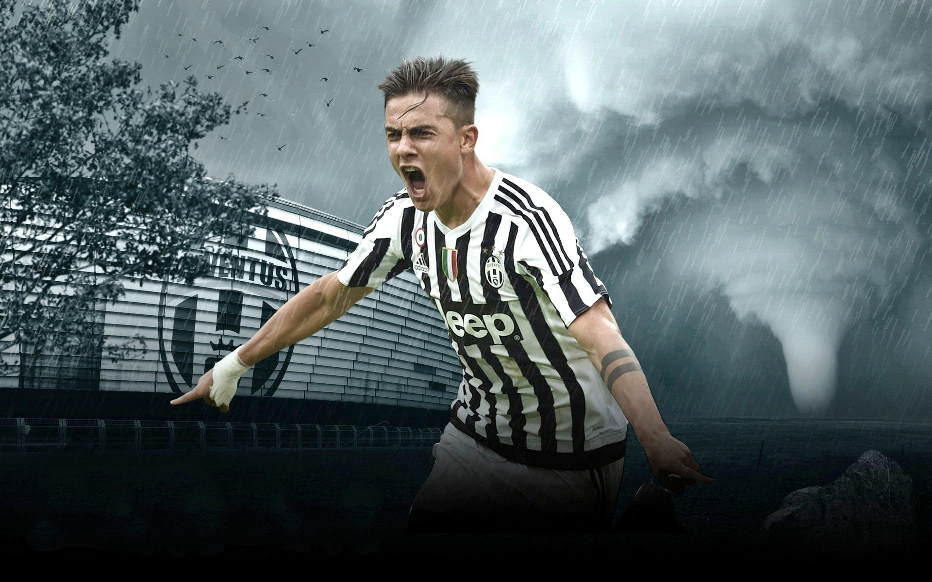 国乒8-2战胜法国队，豪取六连胜，王曼昱轰出11：2，梁靖崑丢两局